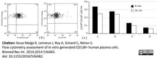 Anti Human CD138 Antibody, clone B-A38 gallery image 4