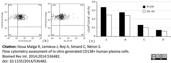 Anti Human CD138 Antibody, clone B-A38 gallery image 4
