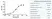 Anti Human CD14 Antibody, clone MEM-18 thumbnail image 4
