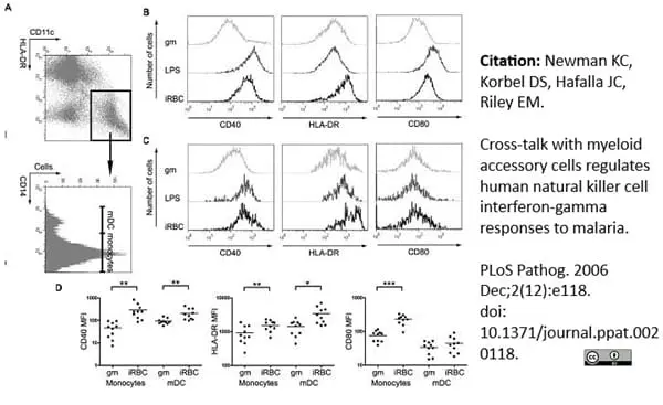Anti Human CD14 Antibody, clone MEM-18 gallery image 5