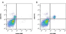 Anti Human CD14 Antibody, clone TÜK4 gallery image 1