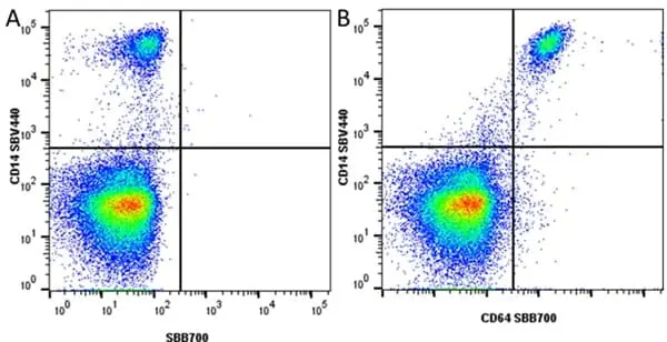 Anti Human CD14 Antibody, clone TÜK4 gallery image 101
