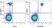 Anti Human CD14 Antibody, clone TÜK4 thumbnail image 104