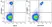 Anti Human CD14 Antibody, clone TÜK4 thumbnail image 105