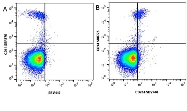 Anti Human CD14 Antibody, clone TÜK4 gallery image 107