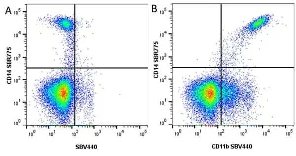 Anti Human CD14 Antibody, clone TÜK4 gallery image 108