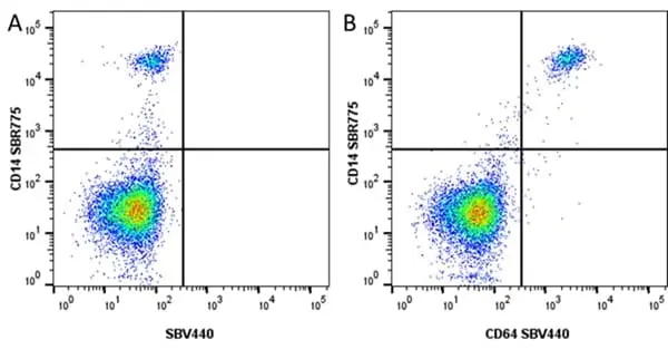 Anti Human CD14 Antibody, clone TÜK4 gallery image 109