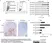 Anti Human CD14 Antibody, clone TÜK4 thumbnail image 11