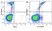 Anti Human CD14 Antibody, clone TÜK4 thumbnail image 111