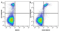 Anti Human CD14 Antibody, clone TÜK4 gallery image 114