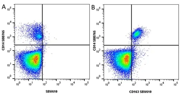 Anti Human CD14 Antibody, clone TÜK4 gallery image 115