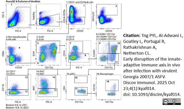 Anti Human CD14 Antibody, clone TÜK4 gallery image 119