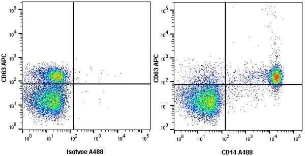 Anti Human CD14 Antibody, clone TÜK4 gallery image 15