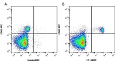 Anti Human CD14 Antibody, clone TÜK4 gallery image 2