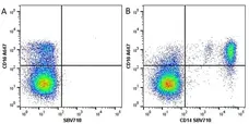 Anti Human CD14 Antibody, clone TÜK4 gallery image 26