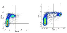 Anti Human CD14 Antibody, clone TÜK4 gallery image 3