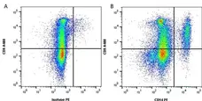 Anti Human CD14 Antibody, clone TÜK4 gallery image 4
