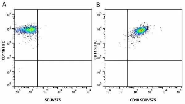Anti Human CD14 Antibody, clone TÜK4 gallery image 47