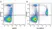Anti Human CD14 Antibody, clone TÜK4 thumbnail image 49