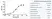 Anti Human CD14 Antibody, clone TÜK4 thumbnail image 5