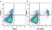 Anti Human CD14 Antibody, clone TÜK4 thumbnail image 51