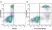 Anti Human CD14 Antibody, clone TÜK4 thumbnail image 52