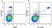 Anti Human CD14 Antibody, clone TÜK4 thumbnail image 53