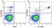 Anti Human CD14 Antibody, clone TÜK4 thumbnail image 60