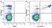 Anti Human CD14 Antibody, clone TÜK4 thumbnail image 63