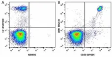 Anti Human CD14 Antibody, clone TÜK4 gallery image 66
