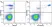 Anti Human CD14 Antibody, clone TÜK4 thumbnail image 82