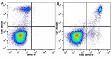 Anti Human CD14 Antibody, clone TÜK4 gallery image 83