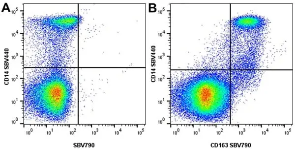 Anti Human CD14 Antibody, clone TÜK4 gallery image 84
