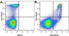 Anti Human CD14 Antibody, clone TÜK4 gallery image 87
