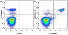 Anti Human CD14 Antibody, clone TÜK4 gallery image 88