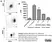 Anti Human CD14 Antibody, clone TÜK4 thumbnail image 9