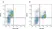 Anti Human CD14 Antibody, clone UCHM1 thumbnail image 1