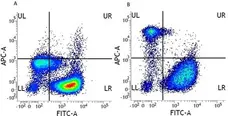 Anti Human CD14 Antibody, clone UCHM1 gallery image 2