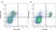 Anti Human CD14 Antibody, clone UCHM1 thumbnail image 4