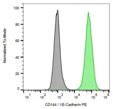 Anti Human CD144 Antibody, clone 55-7H1 gallery image 1
