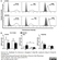 Anti Human CD146 Antibody, clone OJ79c thumbnail image 18