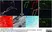 Anti Human CD146 Antibody, clone OJ79c thumbnail image 4