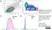 Anti Human CD146 Antibody, clone OJ79c thumbnail image 5
