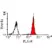 Anti Human CD147 Antibody, clone MEM-M6/1 (Monoclonal Antibody Antibody) thumbnail image 1