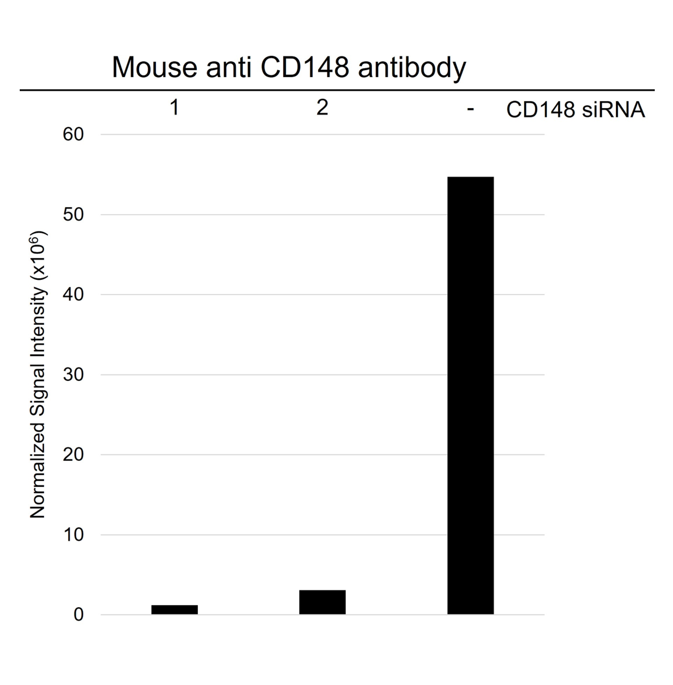 Anti CD148 Antibody, clone D02/2F7 (PrecisionAb Monoclonal Antibody) gallery image 4