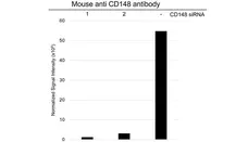 Anti CD148 Antibody, clone D02/2F7 (PrecisionAb Monoclonal Antibody) gallery image 4