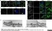 Anti Human CD151 Antibody, clone 11G5a thumbnail image 1