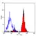 Anti Human CD151 Antibody, clone 11G5a thumbnail image 6