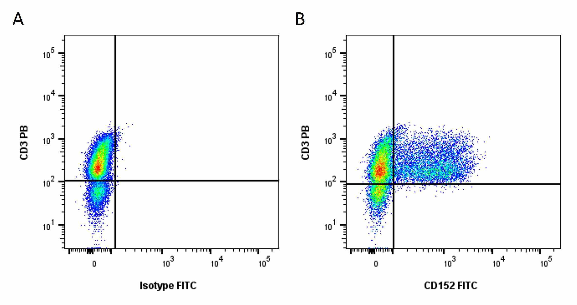 Anti Human CD152 Antibody, clone BNI3 gallery image 3