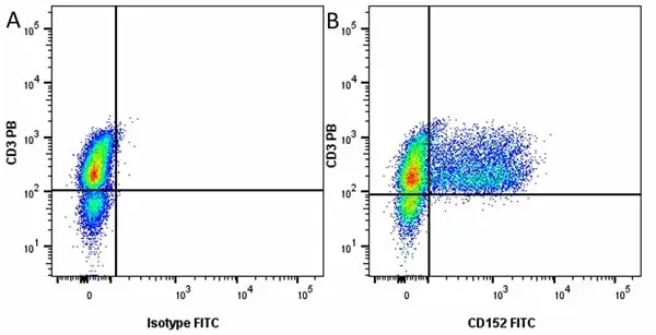 Anti Human CD152 Antibody, clone BNI3 gallery image 3